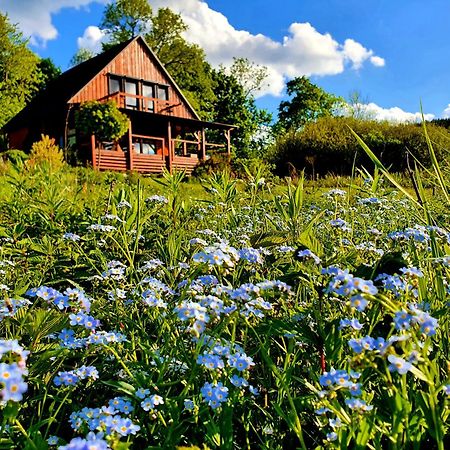 Piaskowy Kon - Mountain Lodge & Spa- Karkonosze Mniszkow  ภายนอก รูปภาพ